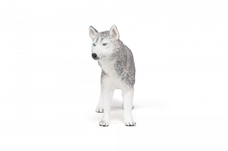 PAPO - Figurina Husky Siberian  [3]