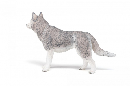 PAPO - Figurina Husky Siberian  [5]