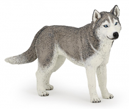 Jocuri si articole copii - PAPO - Figurina Husky Siberian 