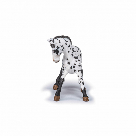 Papo - Figurină Mânz Appaloosa Negru  [3]