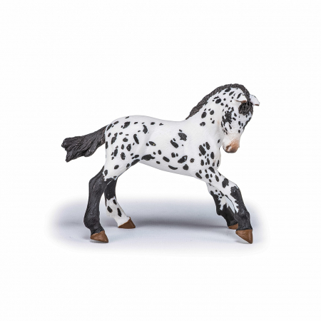 Papo - Figurină Mânz Appaloosa Negru  [1]