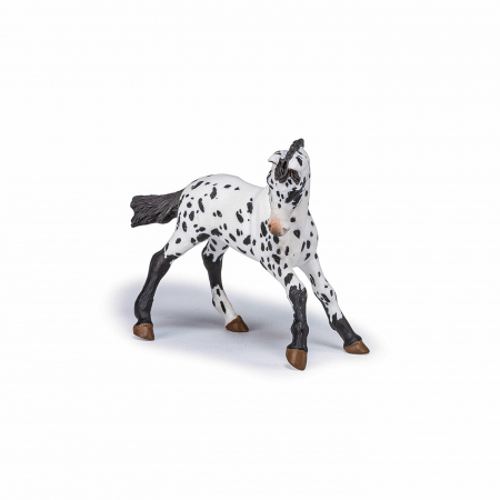 Papo - Figurină Mânz Appaloosa Negru  [2]