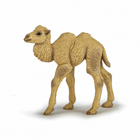 Figurine Papo - PAPO - Figurina Pui Camilă 