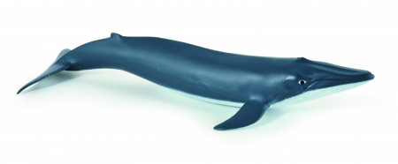 Jocuri si articole copii - Papo Figurina Pui De Balena Albastra