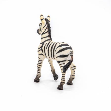 PAPO - Figurina Pui de Zebra  [5]