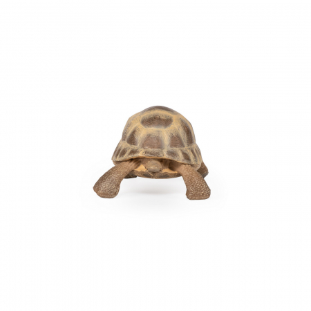 Figurine Papo - PAPO - Figurina Testoasă de Uscat 