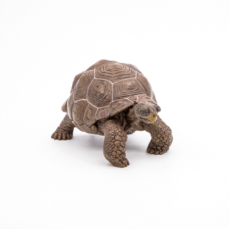 PAPO - Figurina Testoasă Galapagos  [4]