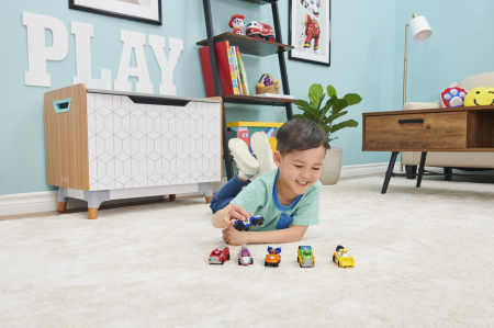 Pachet Cadou Patrula Cățelușilor cu 6 Mașinuțe Metalice  [5]