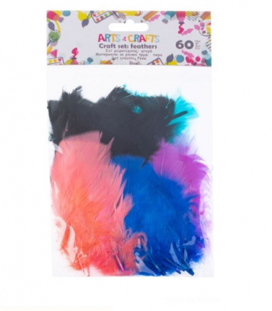 Pene colorate pentru activitati crafts-60 bucati [1]