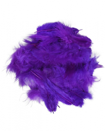 Pene mov pentru activitati crafts-100 bucati [1]