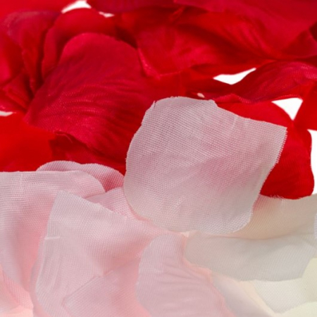 Petale trandafiri pentru activitati crafts-200 bucati [1]