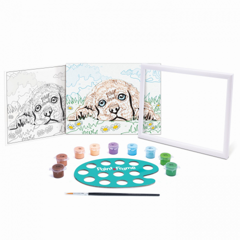 PICTEAZA SI INRAMEAZA [6]