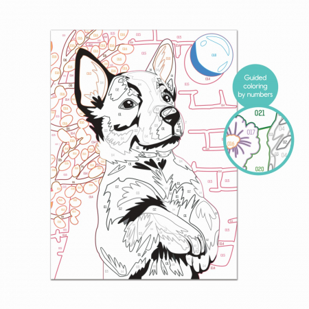 Picteaza si inrameaza husky jucaus [5]