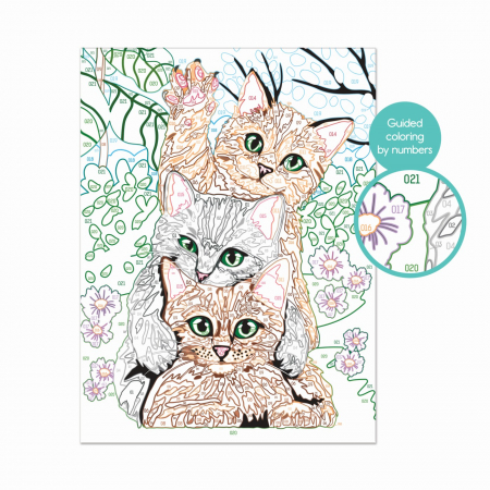 Picteaza si inrameaza pisici amuzante [4]