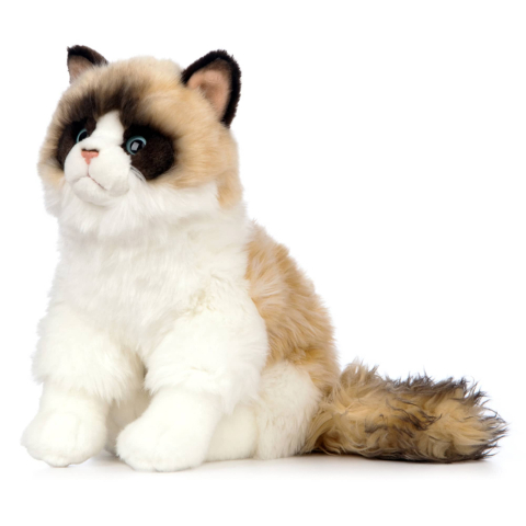 Pisică Ragdoll de pluș 25 cm – Living Nature [1]