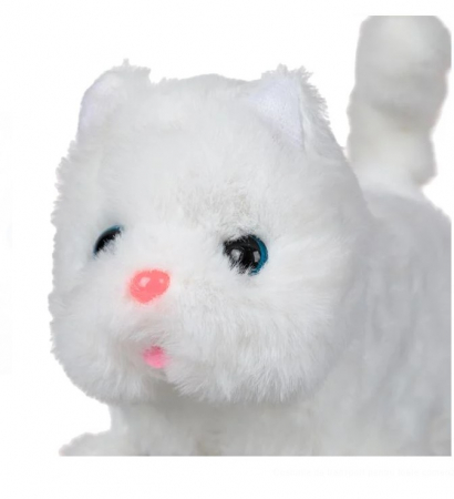 Pisicuta plus cu miscare si sunet [2]