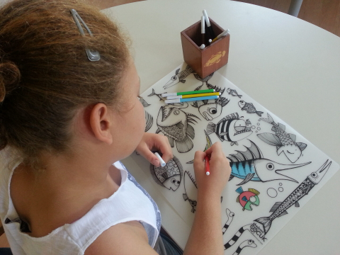 Plansa reutilizabila Funny Mat pentru colorat model Pestisori, 48x33.5 cm [2]