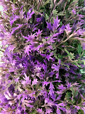 Planta artificiala decorativa in ghiveci  [1]