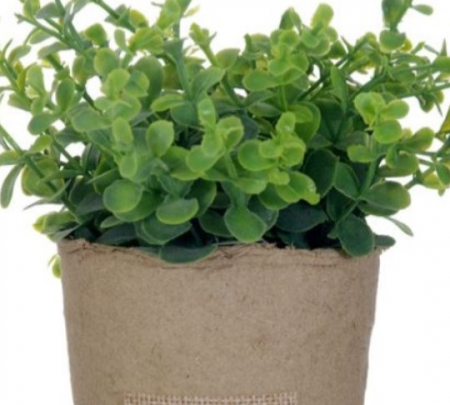 Planta artificiala Oregano  decorativa in ghiveci pentru interior [1]