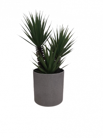 Planta decorativa artificiala Dracaena marginata [2]
