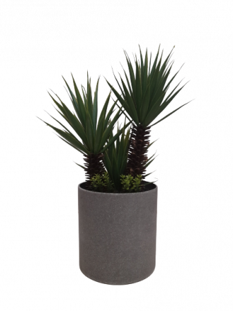 Decoratiuni - Planta decorativa artificiala Dracaena marginata