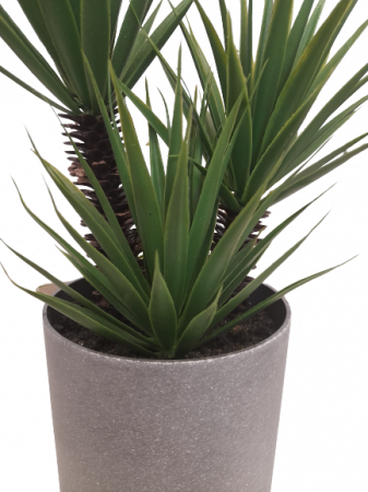 Planta decorativa artificiala Dracaena marginata [4]