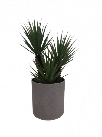 Planta decorativa artificiala Dracaena marginata [1]