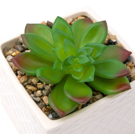 Planta decorativa artificiala in ghiveci decorat cu pietricele [1]