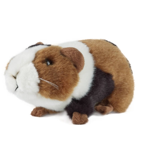 Porc de Guineea de pluș 18 cm – Living Nature [2]