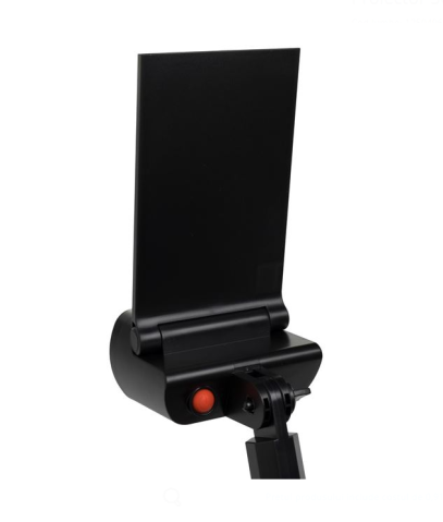 Proiector solar LED cu stick, 22 cm, 200 lm,plastic, negru [3]