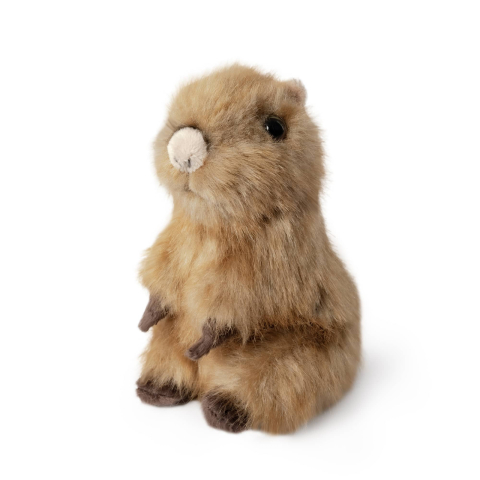 Jucarii - Pui de Capybara de pluș (poziție șezut) – Living Nature