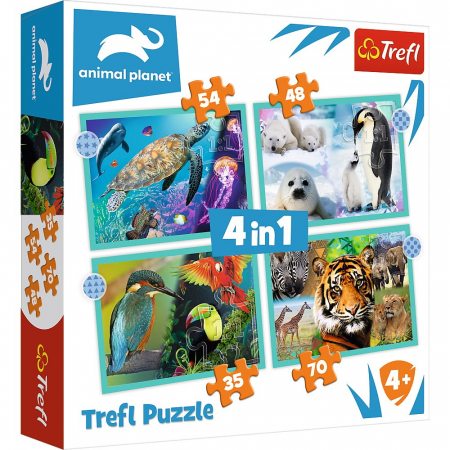 Puzzle - Puzzle carton 4in1: 35