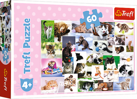 Puzzle copii 3-6 ani - Lumea Pisicilor Puzzle 60