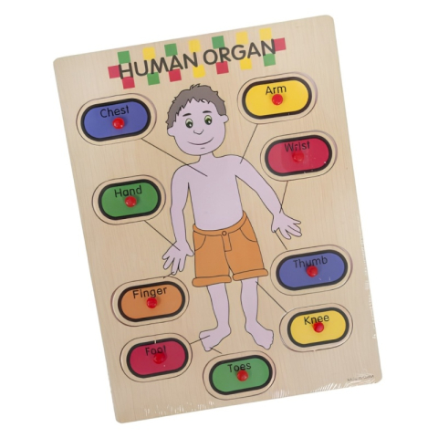 Puzzle - Puzzle din lemn educativ Invata partile corpului in limba engleza, 9 piese, 3 ani+