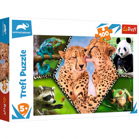 Jocuri si articole copii - Puzzle Trefl 100 Natura Frumoasă 