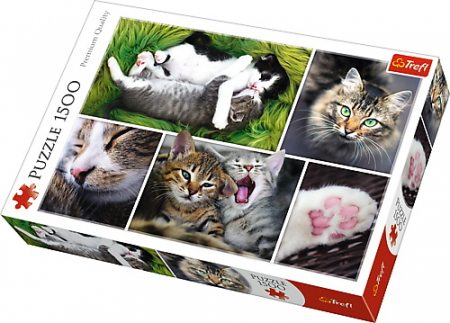 Jocuri si articole copii - Puzzle Trefl 1500 Viața Pisicilor 