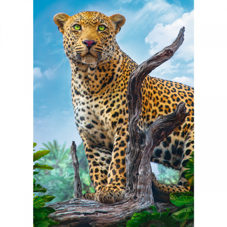 Puzzle Trefl 500 Leopard în Savană  [1]