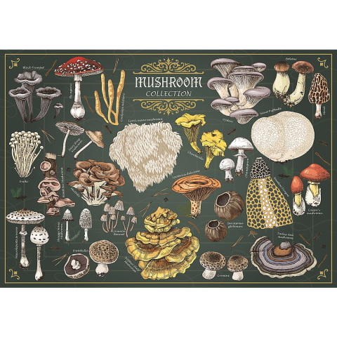 PUZZLE TREFL 500 PREMIUM PLUS FINDERS KEEPERS CIUPERCI [1]