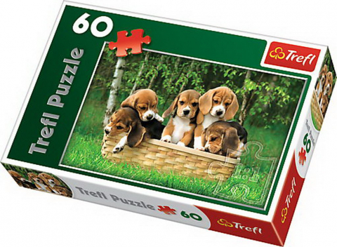 PUZZLE TREFL 60 PIESE MODELE DIFERITE [2]