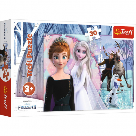 Jocuri si articole copii - PUZZLES 30 Magical Frozen 
