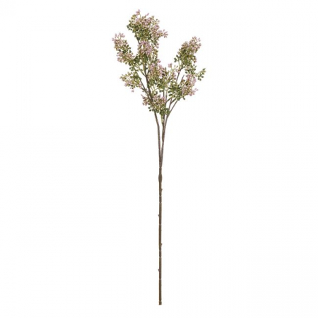 Decoratiuni - Ramura decorativa cu fructe mici pentru interior