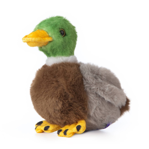 Jucarii - Rață sălbatică de pluș 15 cm – Living Nature