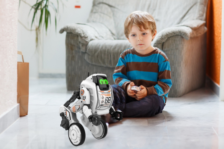 Robot cu telecomanda robo up [2]