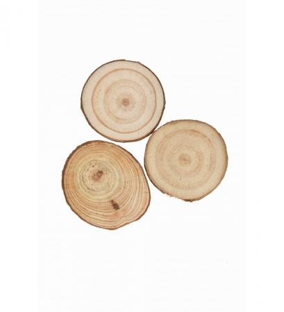 Accesorii art&craft lemn - Rondele din lemn pentru activitati crafts