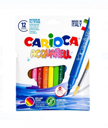 Carioci - Set 12 carioci lavabile cu varf tip pensula