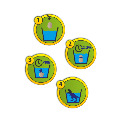 Set 2 oua de jucarie pentru copii cu dinozauri care eclozeaza in apa [1]