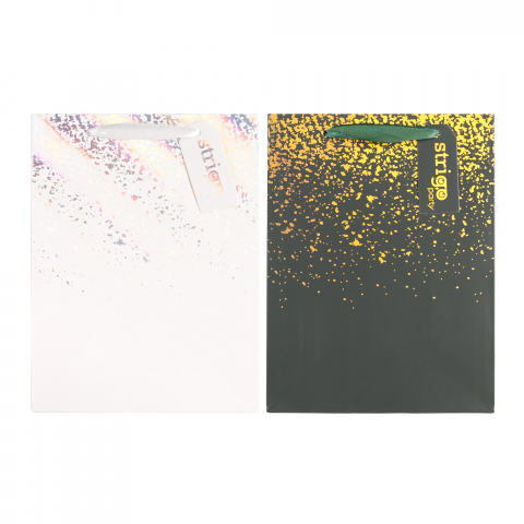 Articole pentru Petrecere - Set 2 Pungi Hârtie 18×23(h)×10 cm, 210 gsm