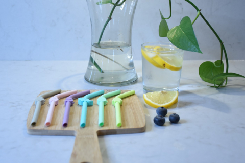 SET 6 BUC PAIE SILICON REUTILIZABILE MODEL ANIMALE MELII [6]