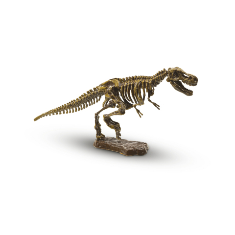 Set de arheologie pentru copii cu dinozaur si accesorii incluse [1]