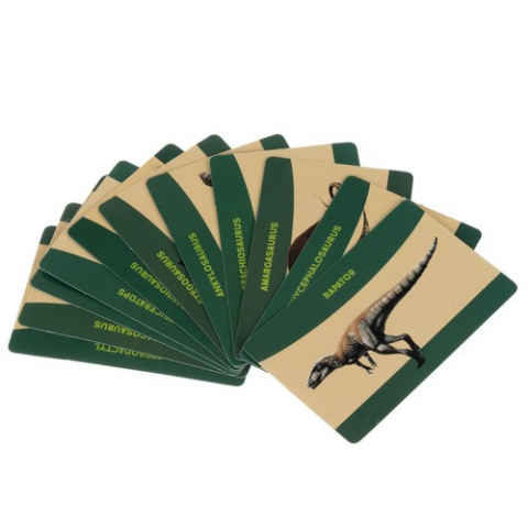 Set de excavare cu 12 oua de dinozauri, carduri si ustensile, +7 ani [3]